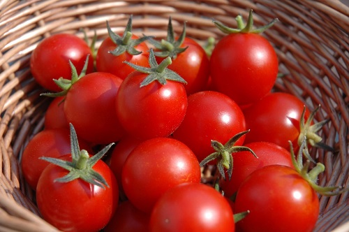 Nên ăn bao nhiêu cà chua 1 ngày là đủ? Chuyên gia chia sẻ